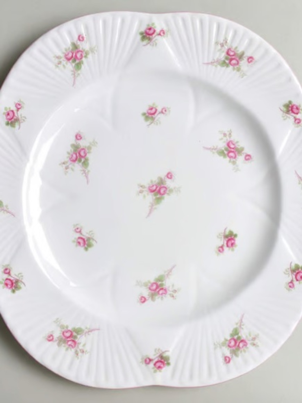 Shelley England Bridal Rose bone china plate